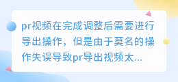 PR软件中导出的视频文件很大怎么办