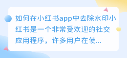 如何在小红书app中去除水印(小红书app如何去水印)