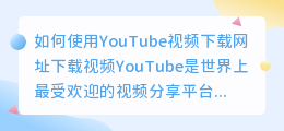 如何使用youtube视频下载网址下载视频(youtube视频下载网址)