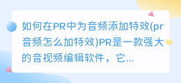 如何在PR中为音频添加特效(pr音频怎么加特效)