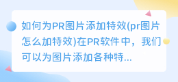 如何为PR图片添加特效(pr图片怎么加特效)