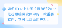 如何在PR中为图片添加特效(pr怎么给图片加特效)