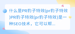 什么是PR豹子特效(pr豹子特效)