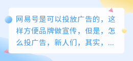 网易号怎么投广告？网易广告平台叫什么？