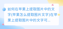 如何在苹果上提取图片中的文字(苹果怎么提取图片文字)