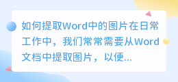 如何提取Word中的图片(怎么把word中的图片提取出来)