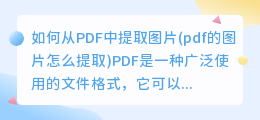 如何从PDF中提取图片(pdf的图片怎么提取)