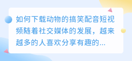 如何下载动物的搞笑配音短视频(动物的搞笑配音短视频下载)