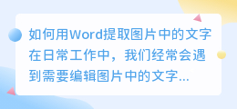 如何用Word提取图片中的文字(word怎么提取图片中的文字)