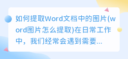 如何提取Word文档中的图片(word图片怎么提取)