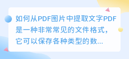 如何从PDF图片中提取文字(pdf图片怎么提取文字)