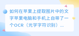 如何在苹果上提取图片中的文字(苹果怎么提取图片中的文字)