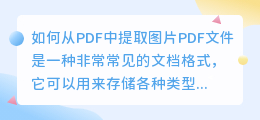 如何从PDF中提取图片(在pdf中怎么提取图片)