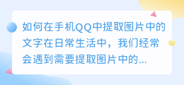 如何在手机QQ中提取图片中的文字(手机qq怎么提取图片中的文字)