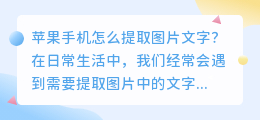 如何在苹果手机上提取图片中的文字(苹果手机怎么提取图片文字)