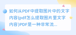 如何从PDF中提取图片中的文字内容(pdf怎么提取图片里文字内容)