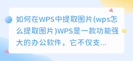 如何在WPS中提取图片(wps怎么提取图片)