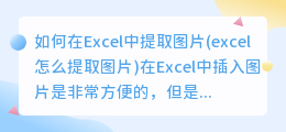 如何在Excel中提取图片(excel怎么提取图片)