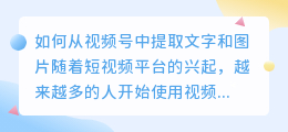 如何从视频号中提取文字和图片(怎么从视频号提取文字图片)