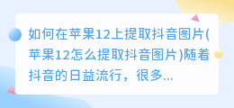 如何在苹果12上提取抖音图片(苹果12怎么提取抖音图片)