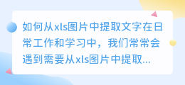 如何从xls图片中提取文字(xls图片怎么提取文字)