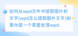 如何从wpd文件中提取图片和文字(wpd怎么提取图片文字)