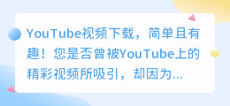 YouTube视频下载秘诀：轻松实现你的个人视频库