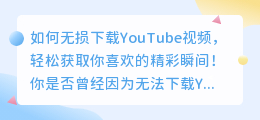 如何无损下载YouTube视频，轻松获取你喜欢的精彩瞬间！