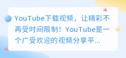 YouTube下载视频，让精彩不再受时间限制！