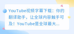 YouTube视频字幕下载: 你的翻译助手，让全球内容触手可及！