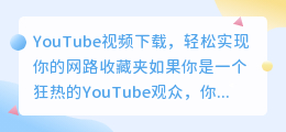 YouTube视频下载，轻松实现你的网路收藏夹