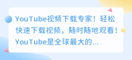 YouTube视频下载专家！轻松快速下载视频，随时随地观看！