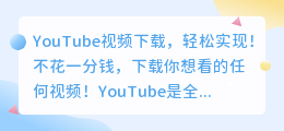 YouTube视频下载，轻松实现！不花一分钱，下载你想看的任何视频！