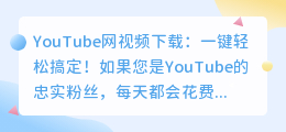 YouTube网视频下载：一键轻松搞定！