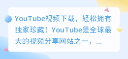 YouTube视频下载，轻松拥有独家珍藏！——YouTube视频下载器