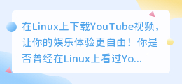 快速轻松！在Linux上下载YouTube视频，让你的娱乐体验更自由！