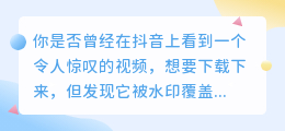 抖音热门视频，去水印下载，一网打尽！