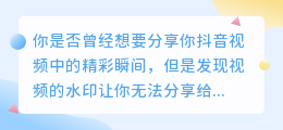 抖音视频秒去水印，让你轻松分享你的精彩瞬间！