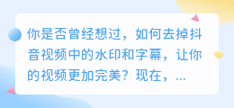 抖音视频去水印、去字幕，轻松制作完美视频！
