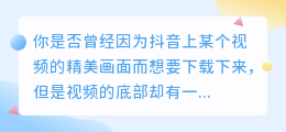 抖音去下载水印源，让你的视频分享更自由！