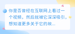 视频解析网：揭秘互联网上最热门视频背后的故事！