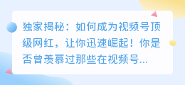 独家揭秘：如何成为视频号顶级网红，让你迅速崛起！