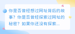 超值课程：全面解析网址的秘密