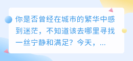 探秘城市角落！这家小店竟是隐藏的宝藏，美味得让人难以置信！