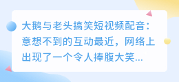 大鹅与老头搞笑短视频配音：意想不到的互动