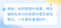 揭秘：如何提取叶绿素，揭示植物生命力的秘密