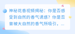 神秘花香视频揭秘：你是否感受到自然的香气诱惑？