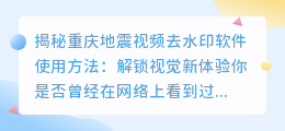 重庆地震视频去水印软件使用方法解析