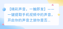 一键提取手机视频中的精彩声音，你还在等什么？