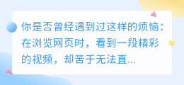 万能网页视频提取工具：一键抓取，10大平台视频任你选！